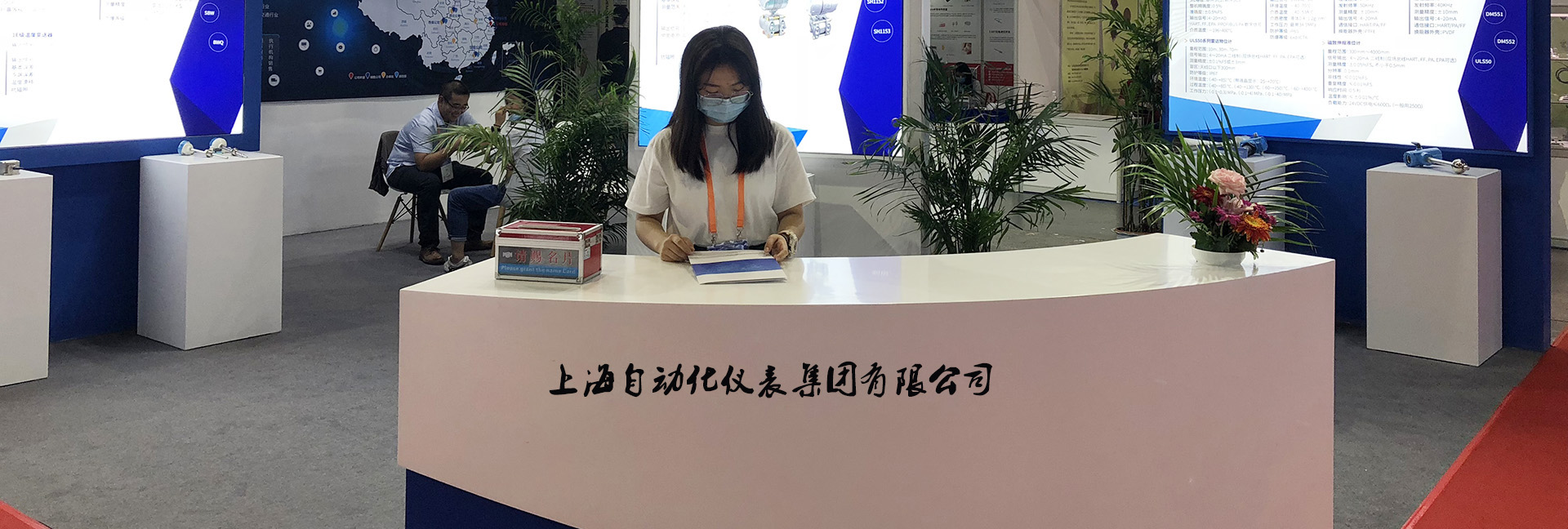 上海自動(dòng)化儀表集團(tuán)有限公司